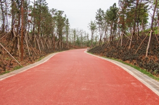 Renkli ve Desenli Asfalt İşleri