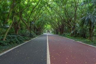 Renkli ve Desenli Asfalt İşleri